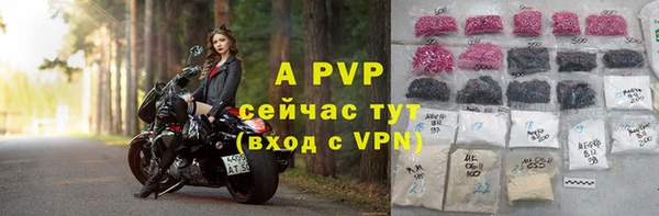 альфа пвп Новодвинск