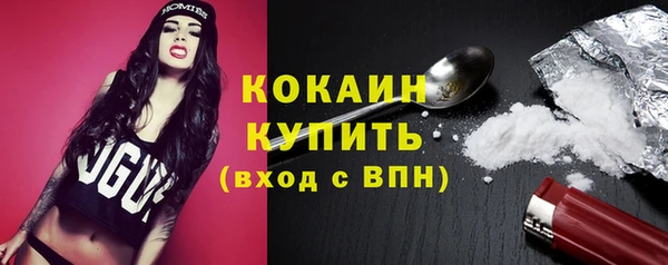 альфа пвп Новодвинск