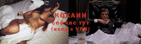 альфа пвп Новодвинск