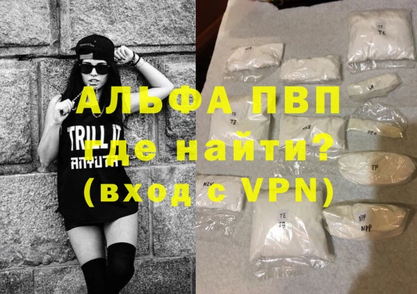 альфа пвп Новодвинск