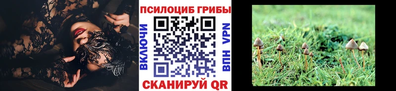 KRAKEN   где купить наркотик  Усолье  Галлюциногенные грибы мицелий 